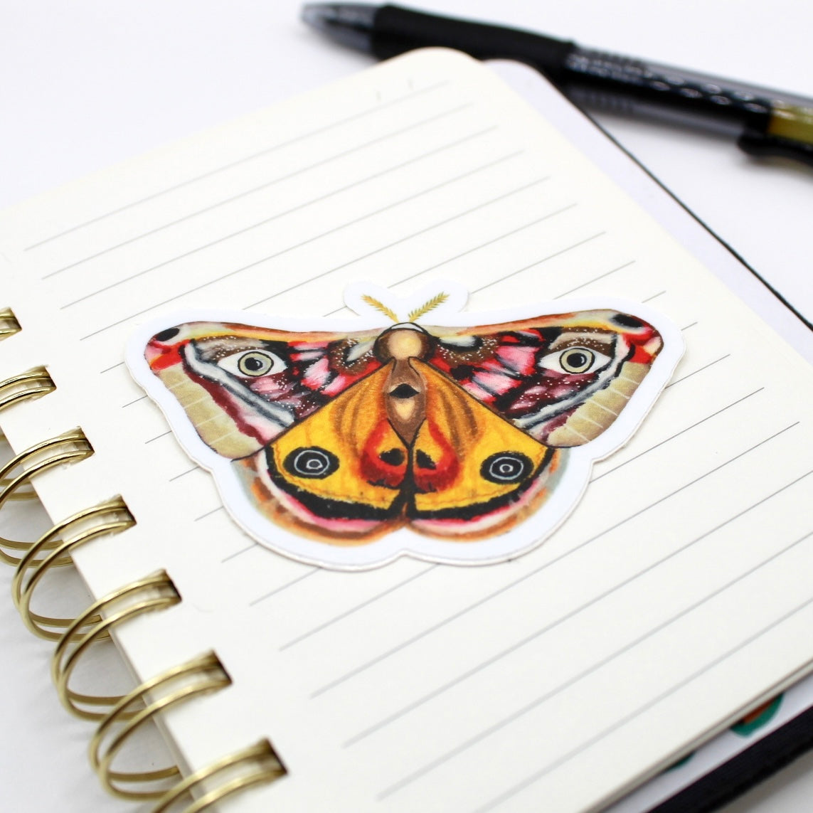 Moth Vinyl Sticker