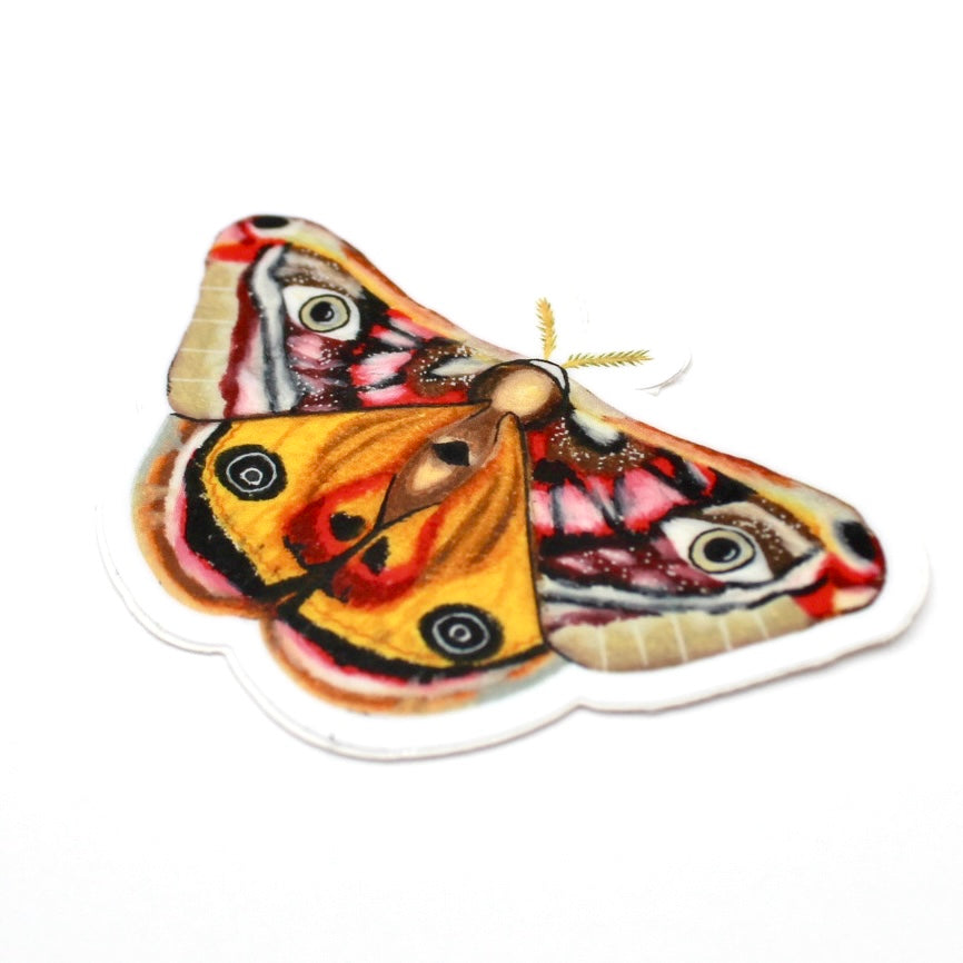 Moth Vinyl Sticker