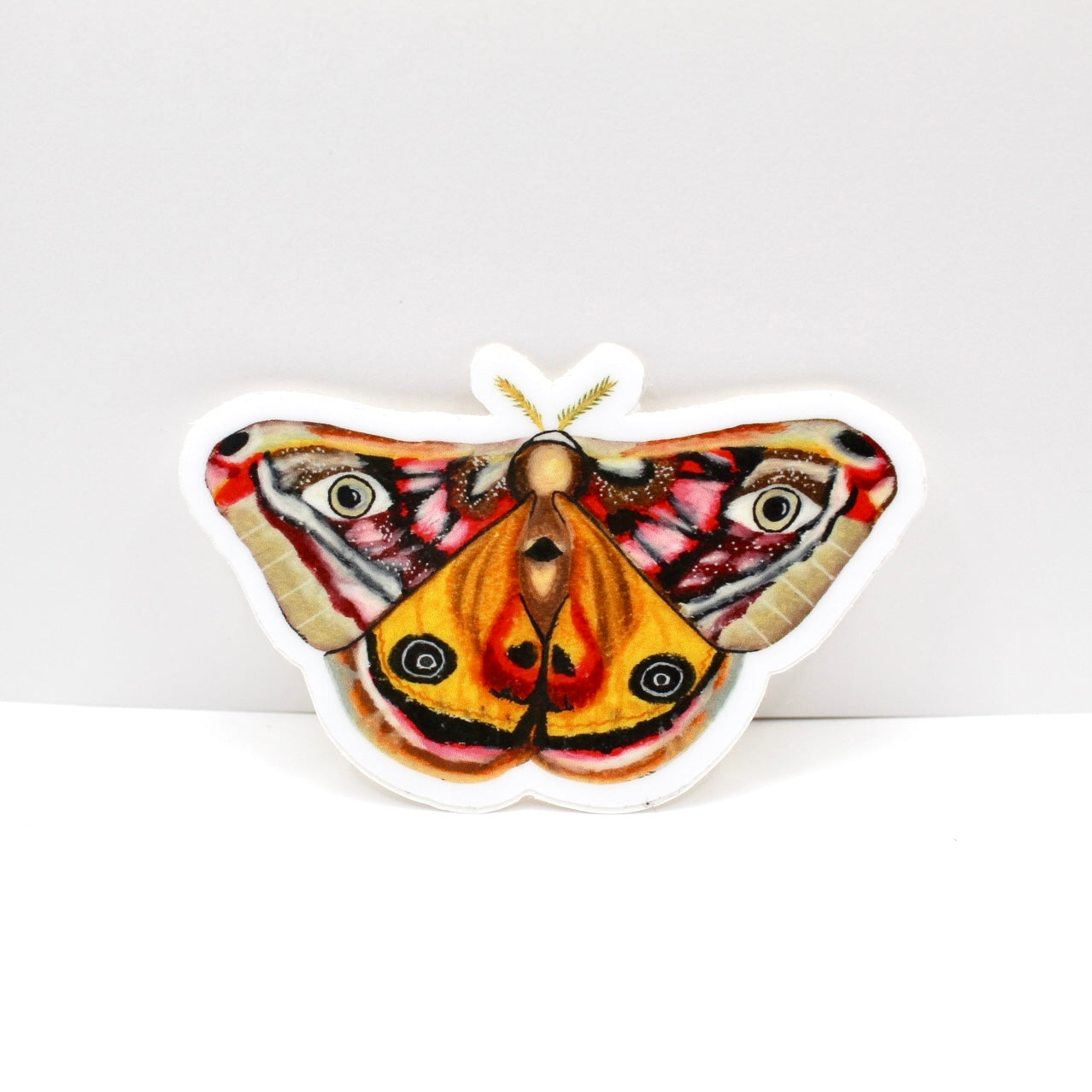 Moth Vinyl Sticker