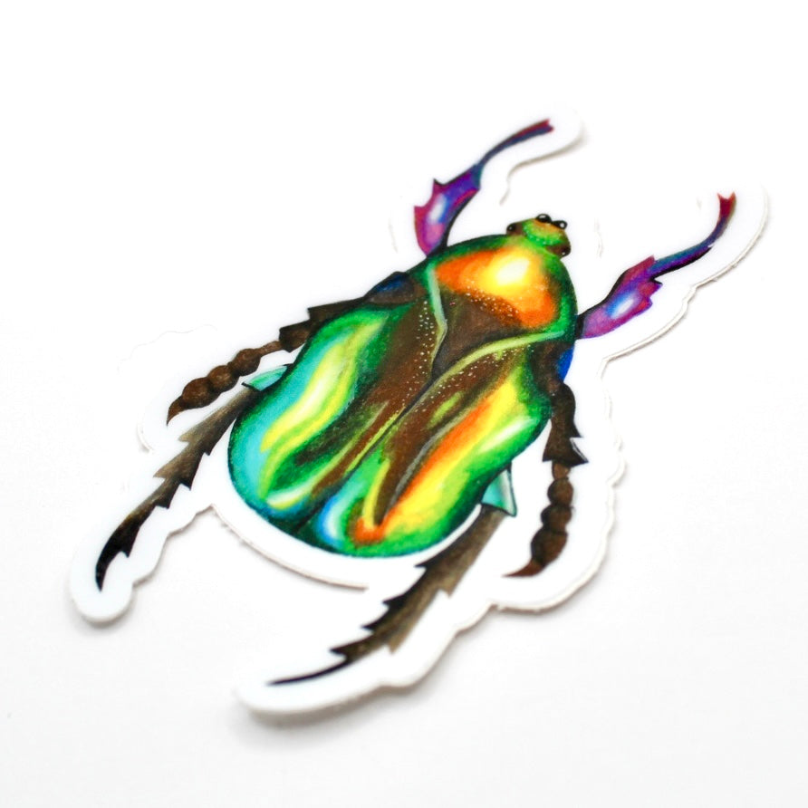 Beetle Vinyl Sticker