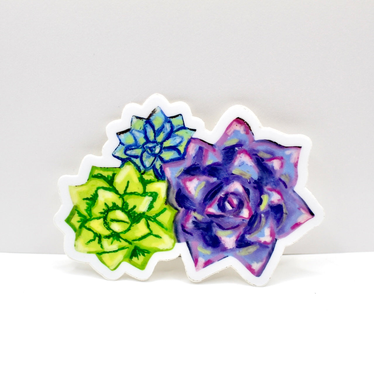 Succulents Vinyl Sticker