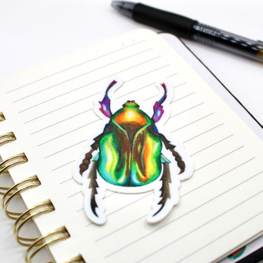 Beetle Vinyl Sticker
