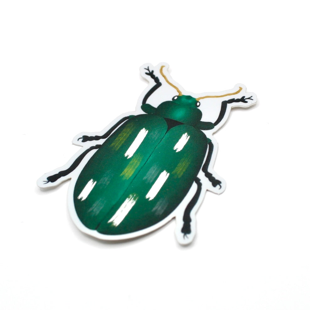 Shiny Beetle Vinyl Sticker